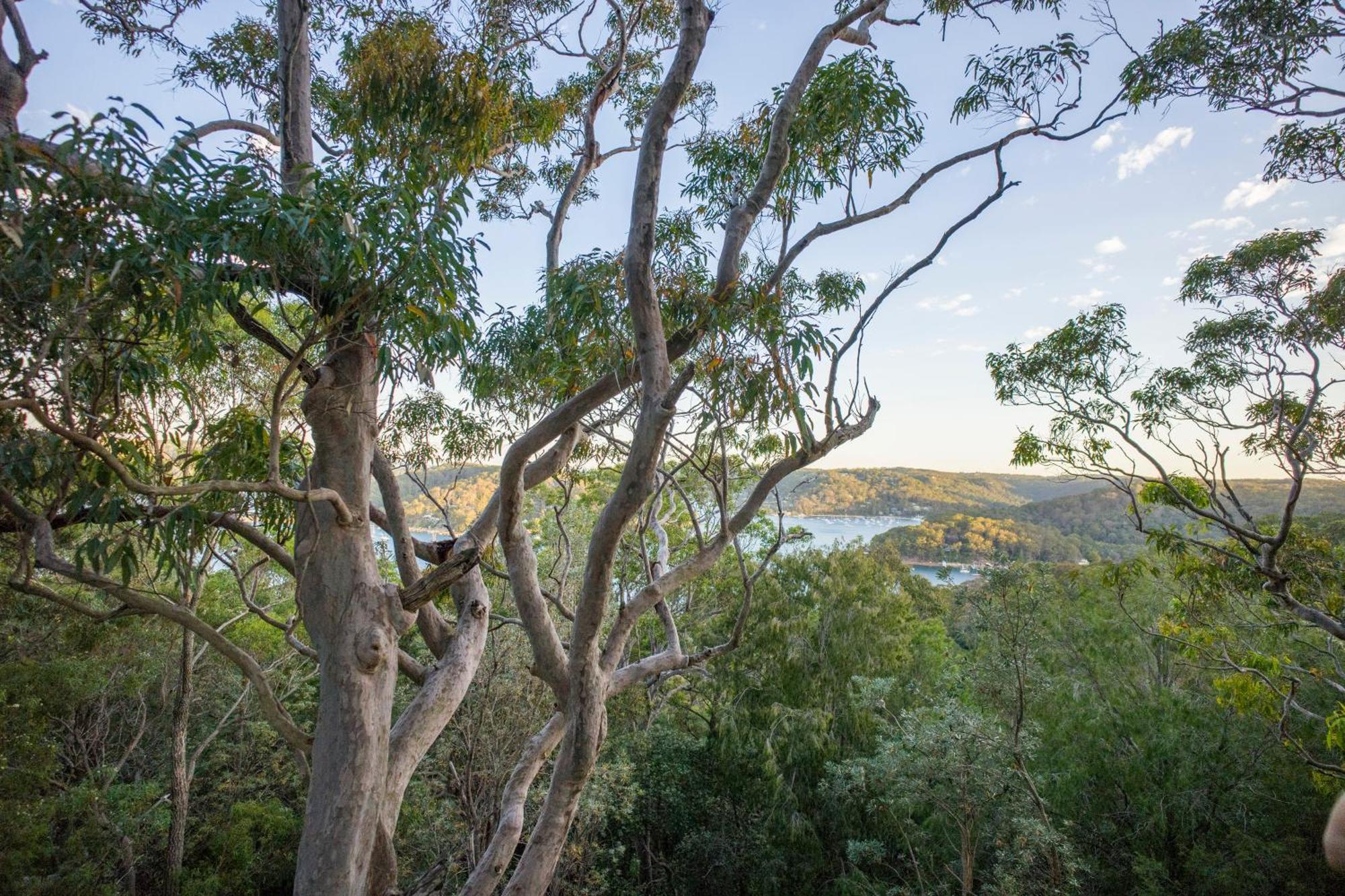 Yha Pittwater Eco, Sydney Hostel Church Point Εξωτερικό φωτογραφία